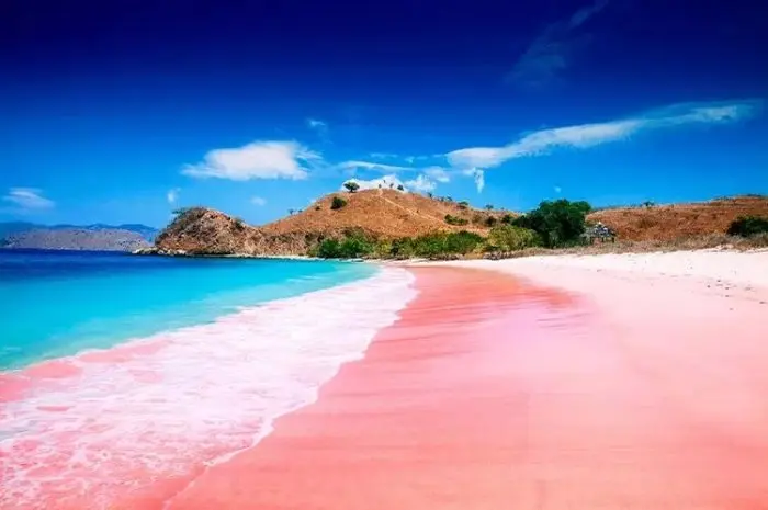 Pantai Pink, Pantai Indah yang Menakjubkan di Lombok