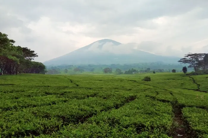 Gunung Dempo, Destinasi Wisata Alam di Pagar Alam yang Kaya Pesona