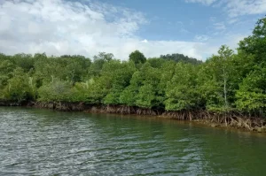 Pulau Mandeh, Pualu Cantik di Sumatera Barat yang Dikelilingi Gugusan Pulau Eksotis