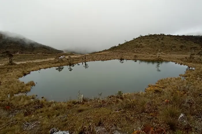 Tempat Wisata di Papua yang Menyajikan Pesona Alam Luar Biasa dan Budaya Unik