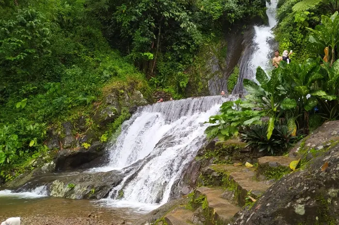 Air Terjun Kali Banteng: Pesona Alam untuk Seluruh Keluarga